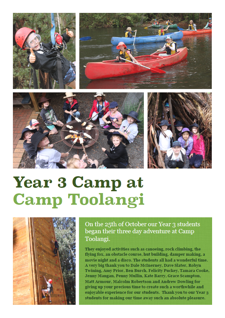 Year 3 students enjoy an adventurous camp at Toolangi